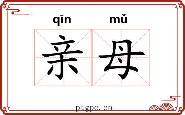 亲母 亲母