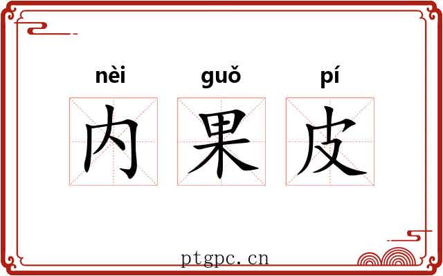 内果皮
