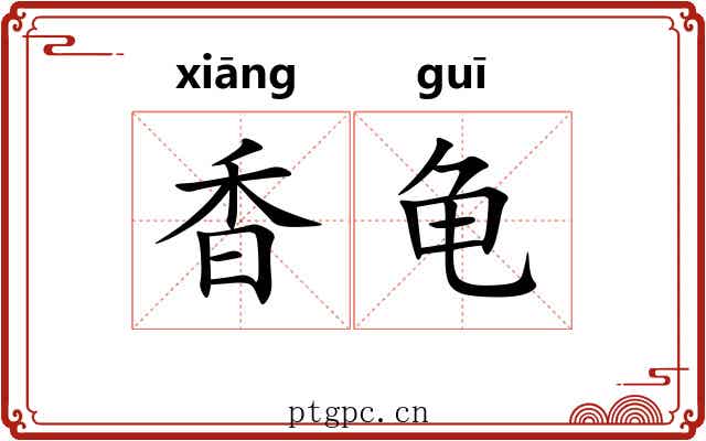 香龟 香龟