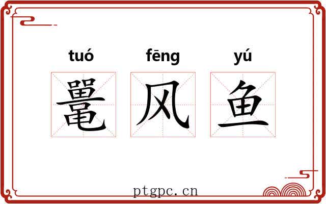 鼍风鱼 鼍风鱼