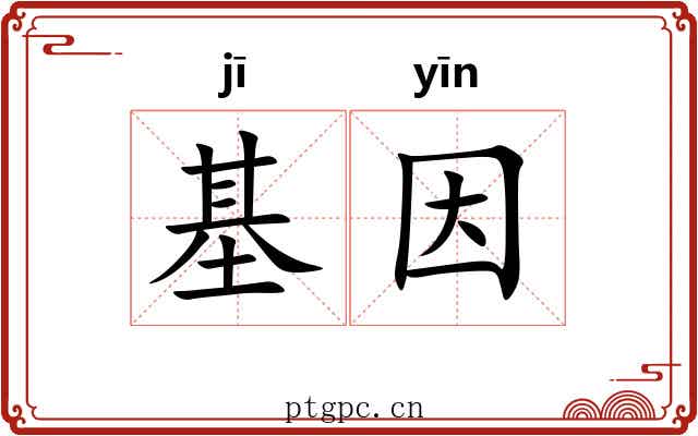 基因