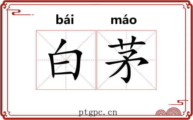 白茅