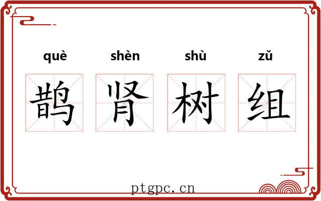 鹊肾树组