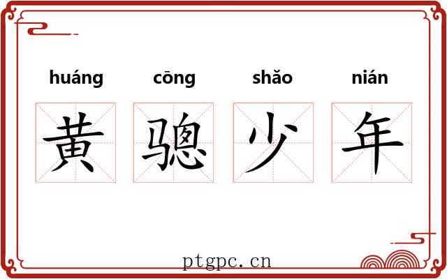 黄骢少年 黄骢少年