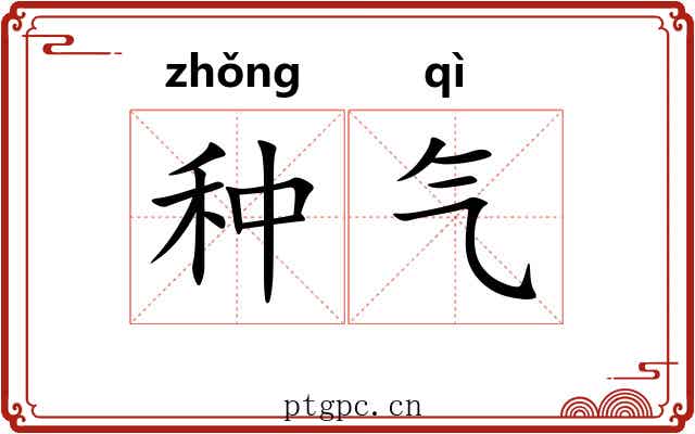 种气