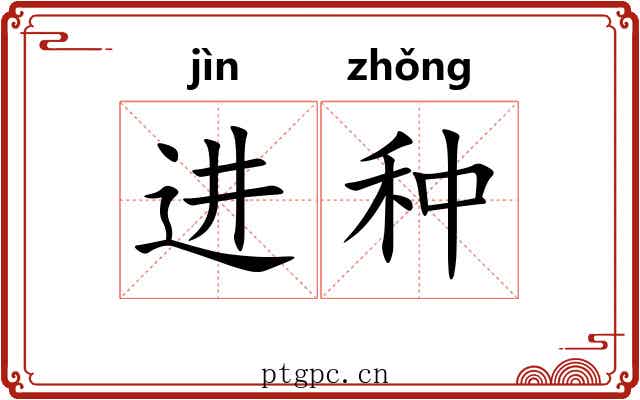 进种