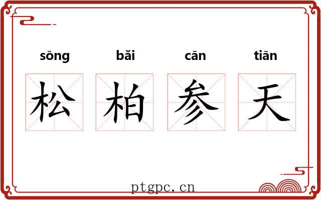松柏参天