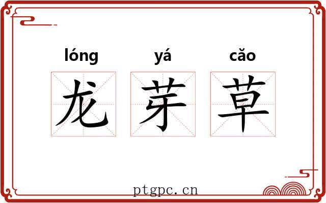 龙芽草