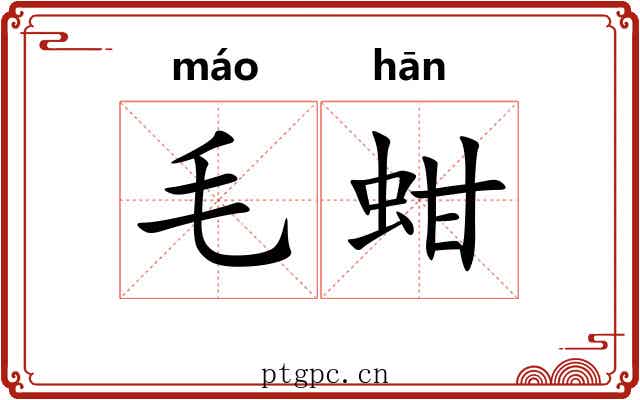 毛蚶 毛蚶