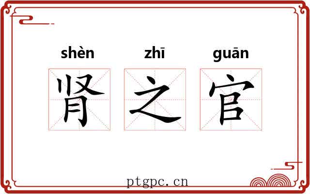 肾之官