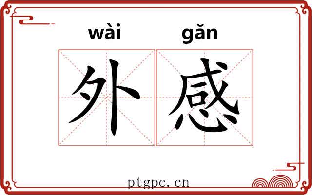 外感