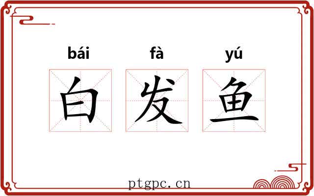 白发鱼