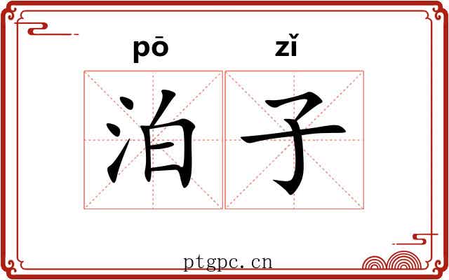 泊子
