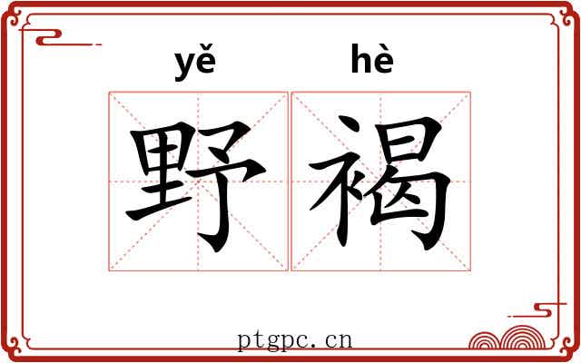 野褐 野褐