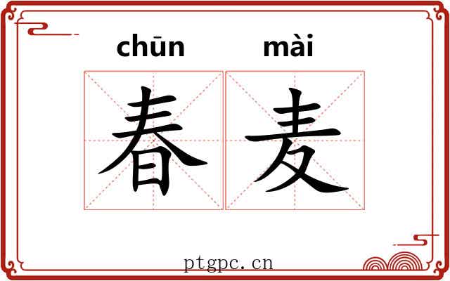 春麦