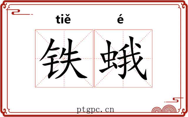 铁蛾