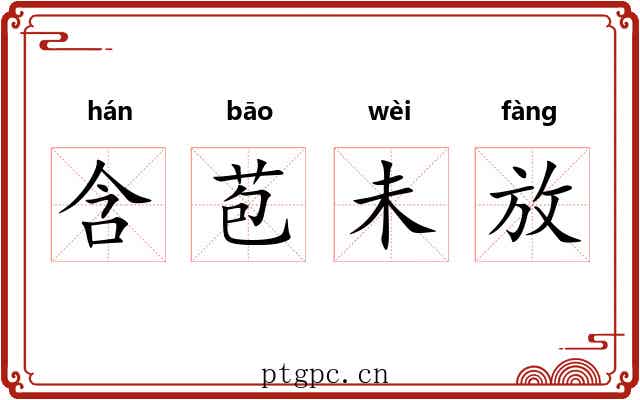 含苞未放
