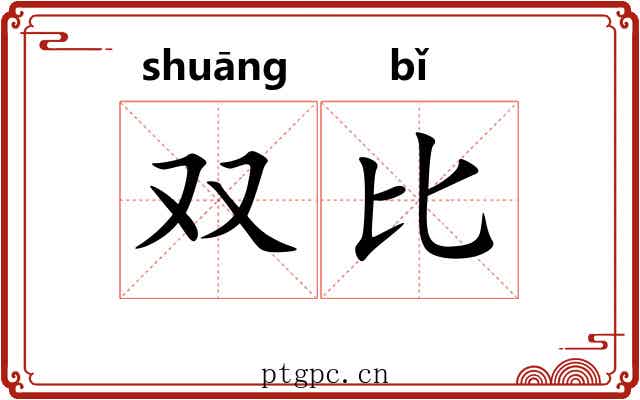 双比 双比