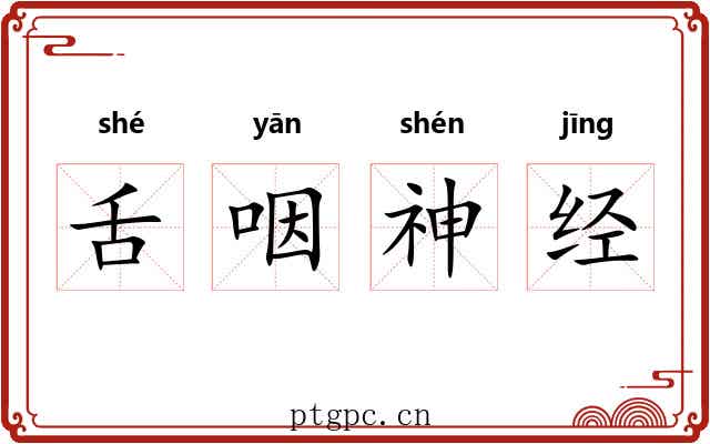 舌咽神经