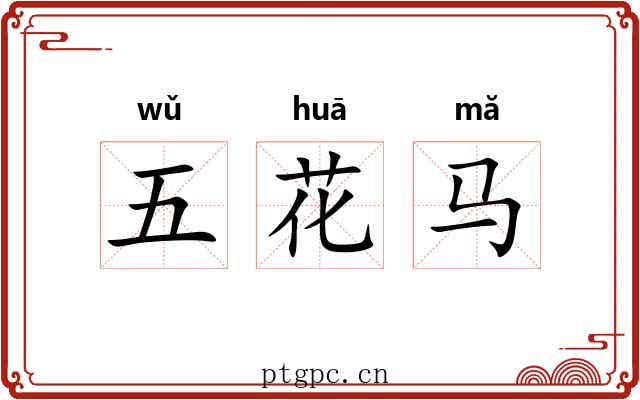 五花马