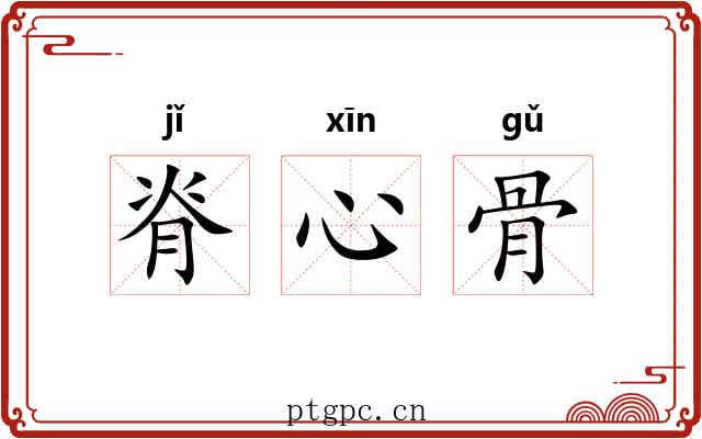 脊心骨 脊心骨