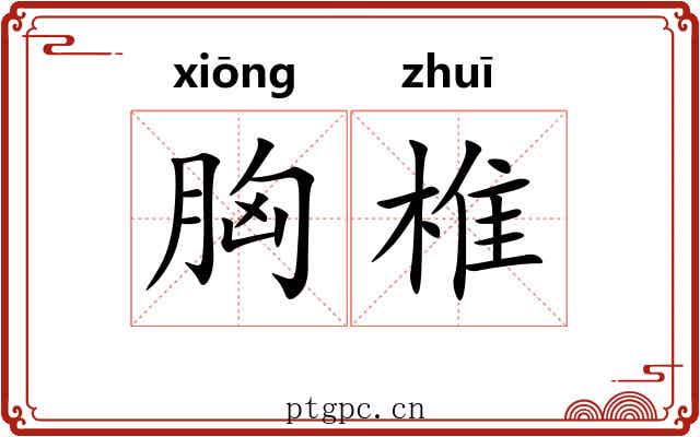 胸椎