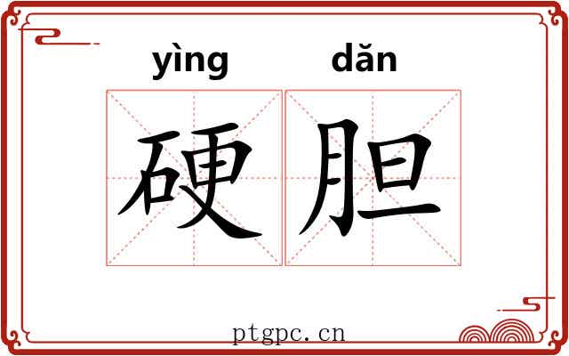 硬胆