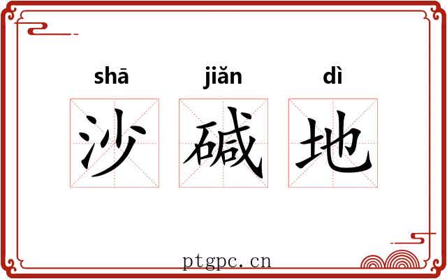 沙碱地