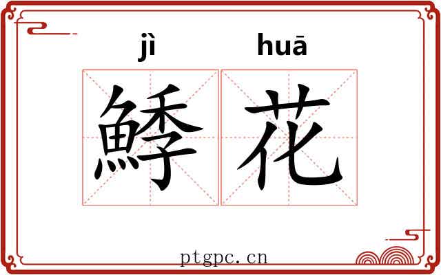 鯚花