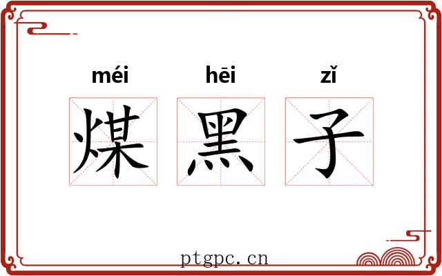 煤黑子 煤黑子