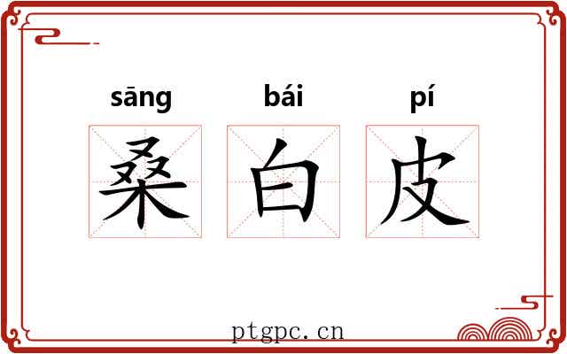 桑白皮 桑白皮