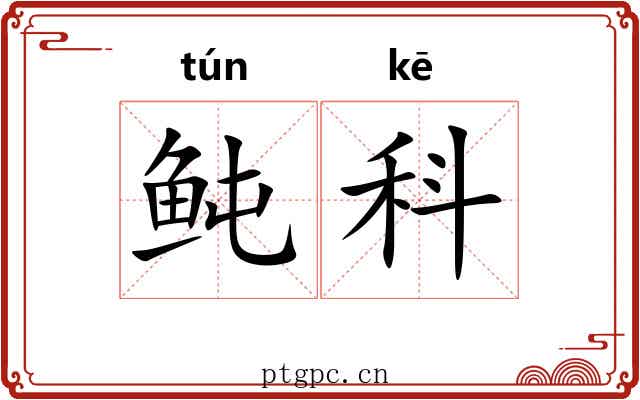鲀科