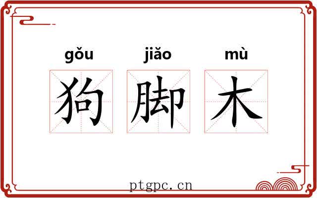 狗脚木