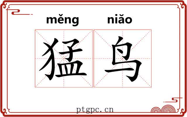 猛鸟