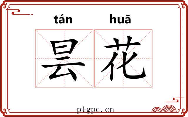 昙花