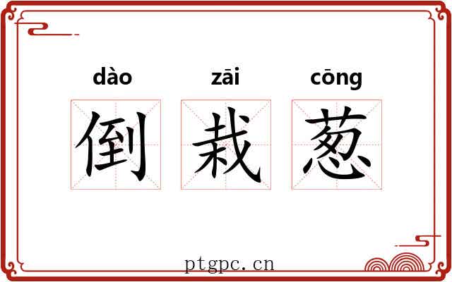 倒栽葱 倒栽葱