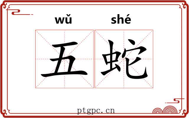 五蛇