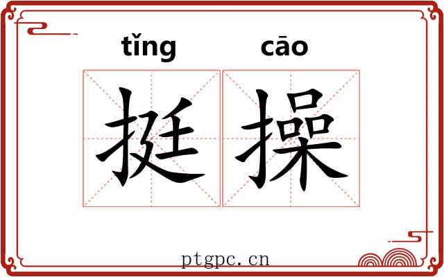 挺操 挺操