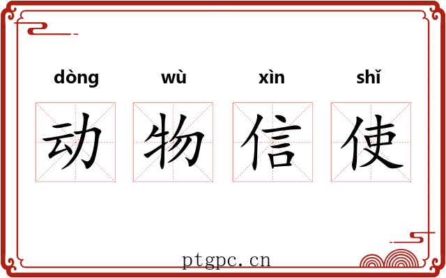 动物信使 动物信使