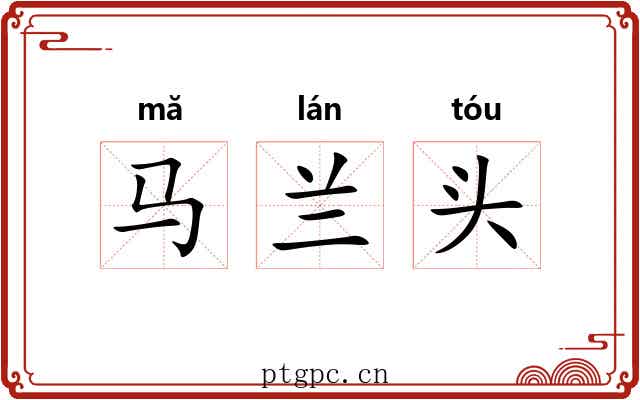 马兰头