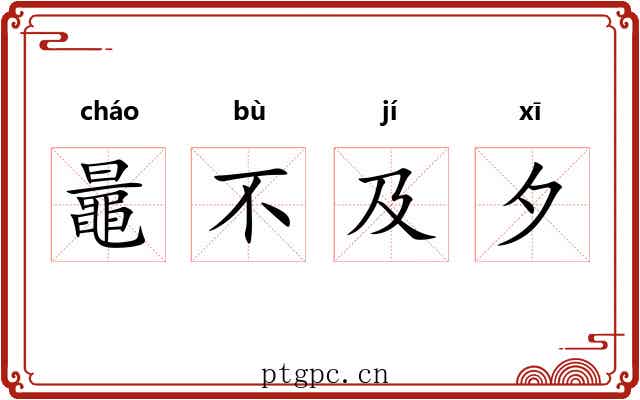 鼂不及夕