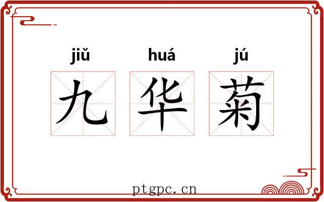 九华菊