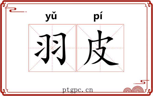 羽皮 羽皮