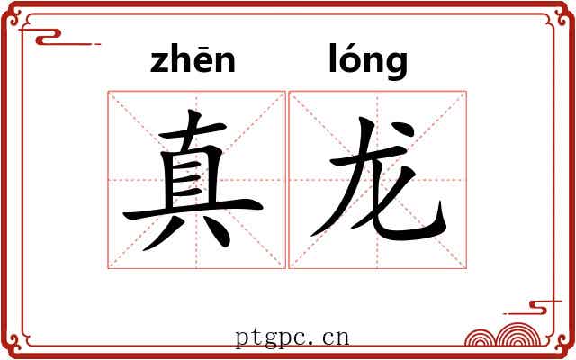 真龙 真龙