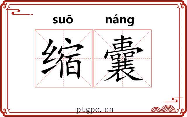 缩囊 缩囊