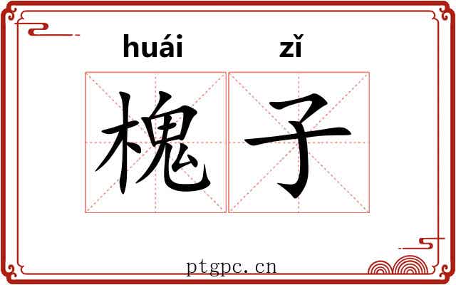 槐子