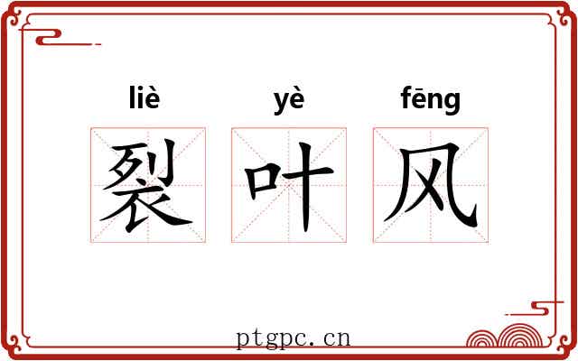 裂叶风