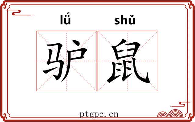 驴鼠