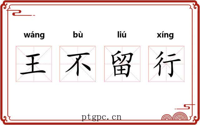 王不留行 王不留行