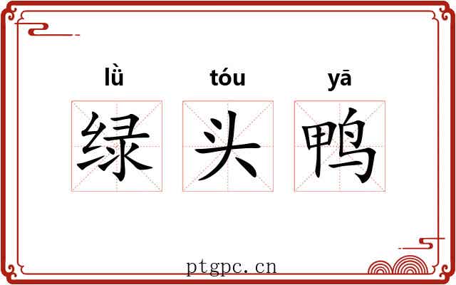 绿头鸭